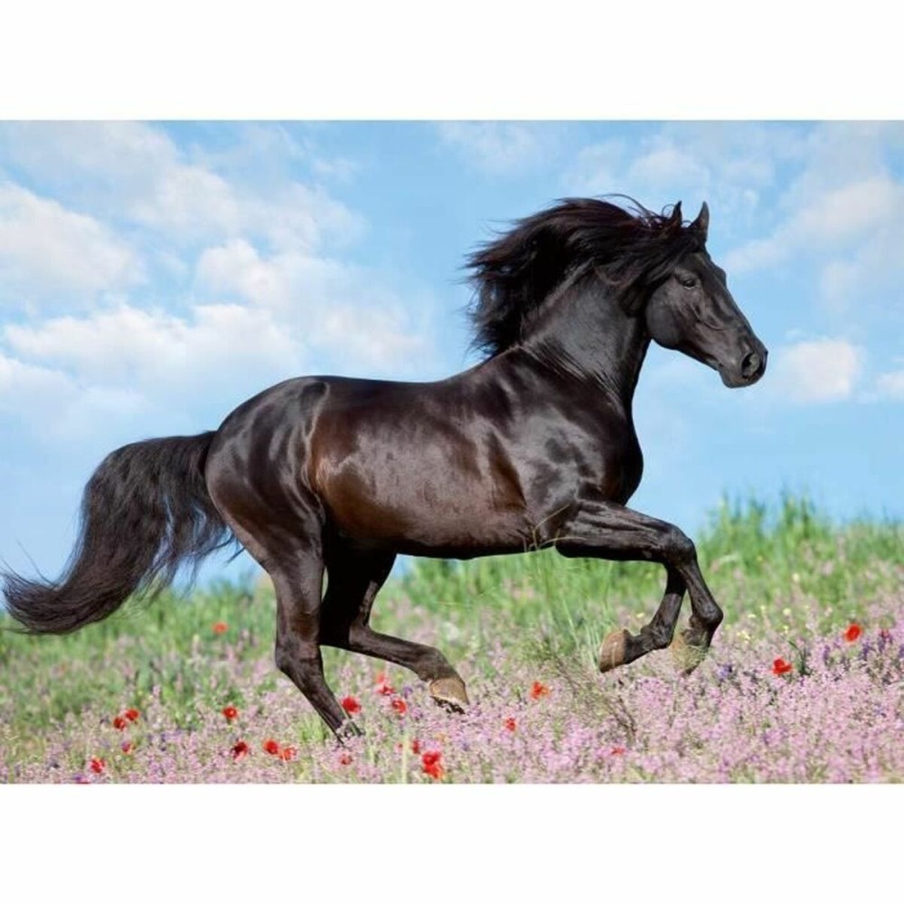 Puzzle Ravensburger 12803 Black Stallion XXL 200 Piese