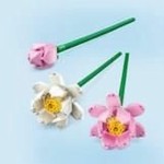 Set de Construcție Lego 40647 Lotus Flower Multicolor