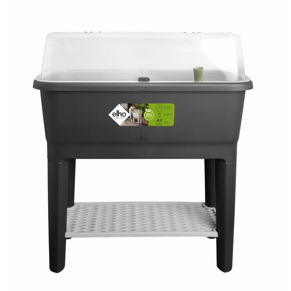 Seră Elho Negru Plastic 78,5 cm