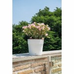 Ghiveci Deroma Alb 48 x 43 cm 58 L