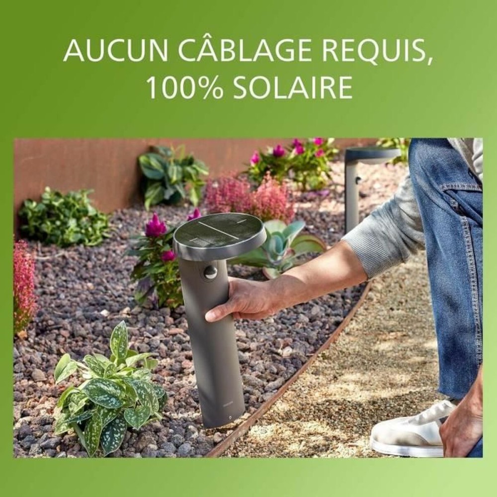 Lampă Philips Negru E27 (1 Unități)