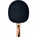 Rachetă de ping pong Schildkröt Top Team 600