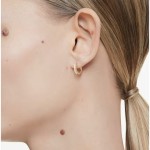 Cercei Damă Swarovski 5697228 Argint Sterling 925