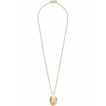 Pandantiv Damă Skagen SKJ1750710 Auriu*