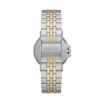 Ceas Bărbați Skagen SKW6921 Argintiu (Ø 40 mm)