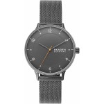 Ceas Bărbați Skagen RIIS (Ø 40 mm)