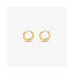 Cercei Damă Radiant RH000304 Auriu*