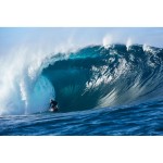 Ramă de Ochelari Damă O'Neill ONB-4031 52108