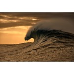 Ramă de Ochelari Damă O'Neill ONB-4031 52107