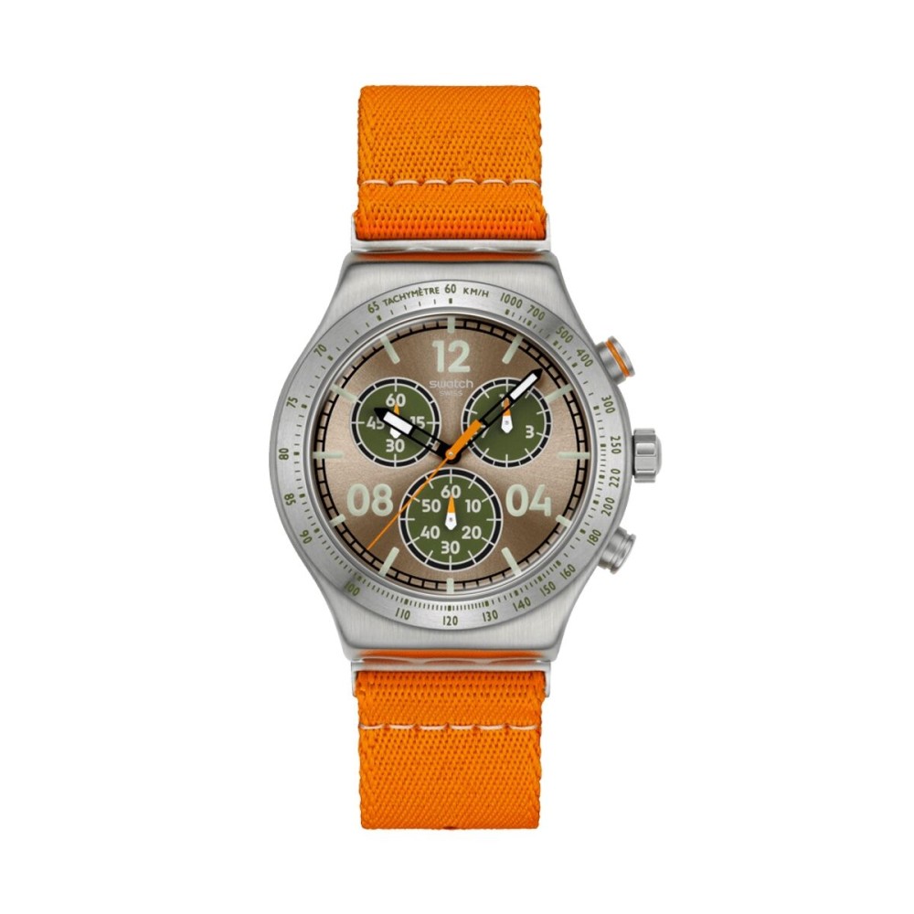 Ceas Bărbați Swatch YVS101