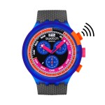 Ceas Unisex Swatch SB06N101-5300