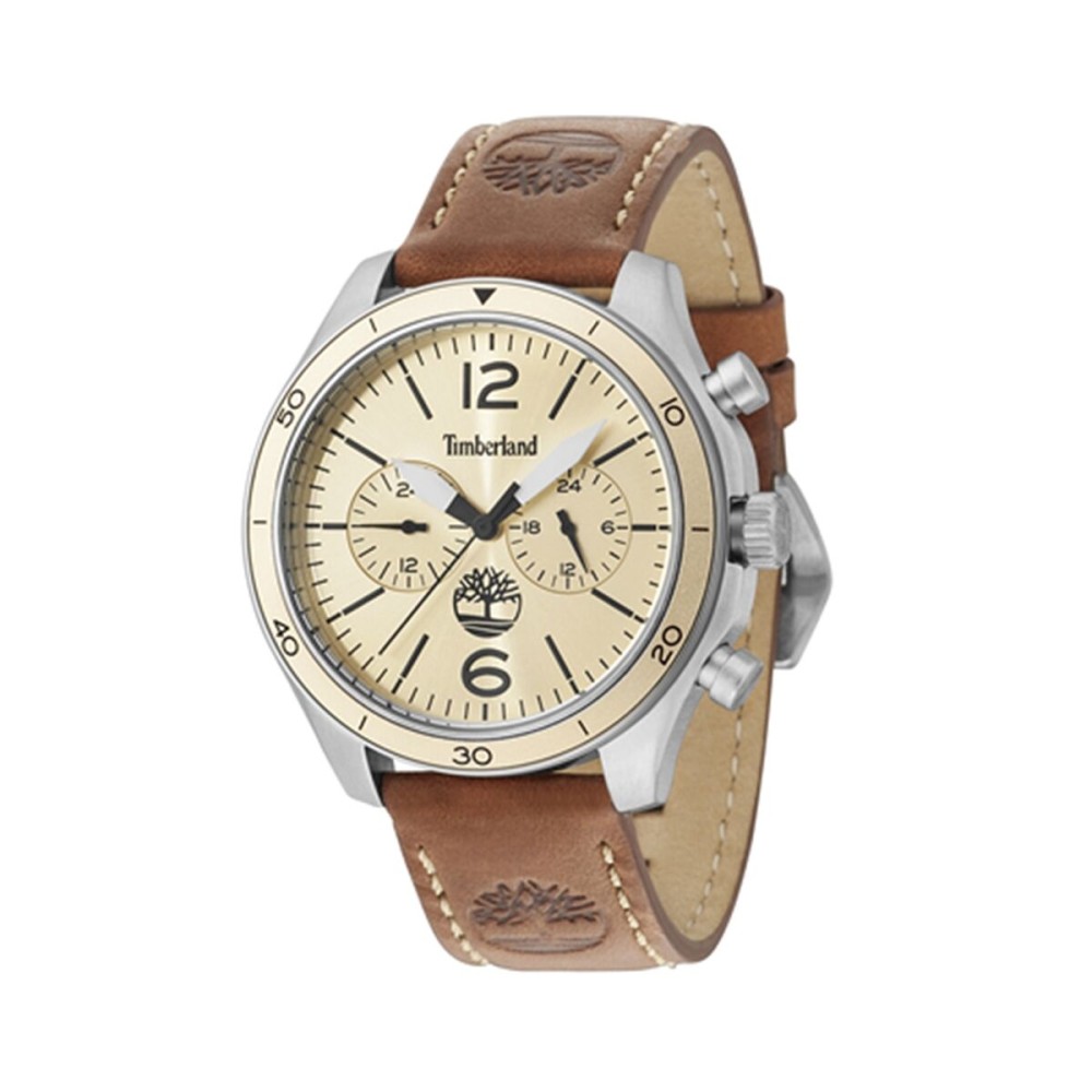 Ceas Bărbați Timberland TBL15255JS07