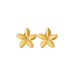 Cercei Damă One Jewels OJPFE02G Auriu*