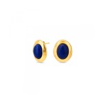 Cercei Damă One Jewels OJSE05D Auriu* Albastru