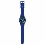 Ceas Bărbați Swatch SVIN103-5300