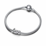 Charm Damă Pandora 793055C00