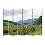 Laptop HP BT6S5EA 15,6" AMD Ryzen 7 7730U 16 GB RAM 512 GB SSD Qwerty Spaniolă