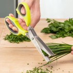 Foarfece de Bucătărie cu Lame Multiple 5 în 1 Fivessor InnovaGoods