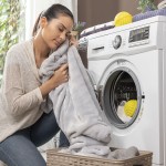 Bile pentru spălat rufe fără detergent Delieco InnovaGoods Pachet de 2 de unități