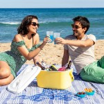 Ladă frigorifică Lilty InnovaGoods 15 L