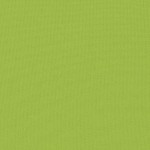 vidaXL Perne de exterior, 2 buc., verde măr, 60 x 40 cm vidaXL Perne de exterior, 2 buc., verde măr, 60 x 40 cm