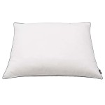 vidaXL Perne cu umplutură din puf/pene, 2 buc., alb, 70 x 60 cm vidaXL Perne cu umplutură din puf/pene, 2 buc., alb, 70 x 60 cm