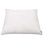 vidaXL Perne, umplutură din puf/pene, 2 buc, 80x80 cm Alb vidaXL Perne, umplutură din puf/pene, 2 buc, 80x80 cm Alb