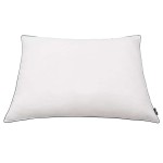 vidaXL Perne cu umplutură din puf/pene, 2 buc., 70 x 60 cm, alb vidaXL Perne cu umplutură din puf/pene, 2 buc., 70 x 60 cm, alb