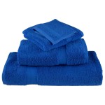 vidaXL Prosoape oaspeți premium SOLUND, 2 buc. 30x50cm 600gsm vidaXL Prosoape oaspeți premium SOLUND, 2 buc. 30x50cm 600gsm