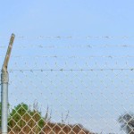 vidaXL Sârmă ghimpată 500 m