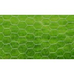 vidaXL Plasă de sârmă găini, argintiu, 25 x 0,75 m, oțel galvanizat
