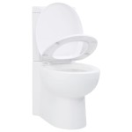 Vas toaletă din ceramică, WC baie de colț, alb Vas toaletă din ceramică, WC baie de colț, alb
