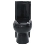 Vas toaletă din ceramică, WC baie de colț, negru Vas toaletă din ceramică, WC baie de colț, negru