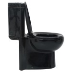Vas toaletă din ceramică, WC baie de colț, negru Vas toaletă din ceramică, WC baie de colț, negru