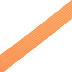 vidaXL Chingi fixare cu clichet, 10 buc, 0,4 tone, 6mx25mm, portocaliu vidaXL Chingi fixare cu clichet, 10 buc, 0,4 tone, 6mx25mm, portocaliu