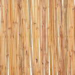 vidaXL Gard din bambus, 500 x 30 cm vidaXL Gard din bambus, 500 x 30 cm