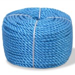 vidaXL Frânghie împletită polipropilenă, albastru, 500 m, 10 mm vidaXL Frânghie împletită polipropilenă, albastru, 500 m, 10 mm