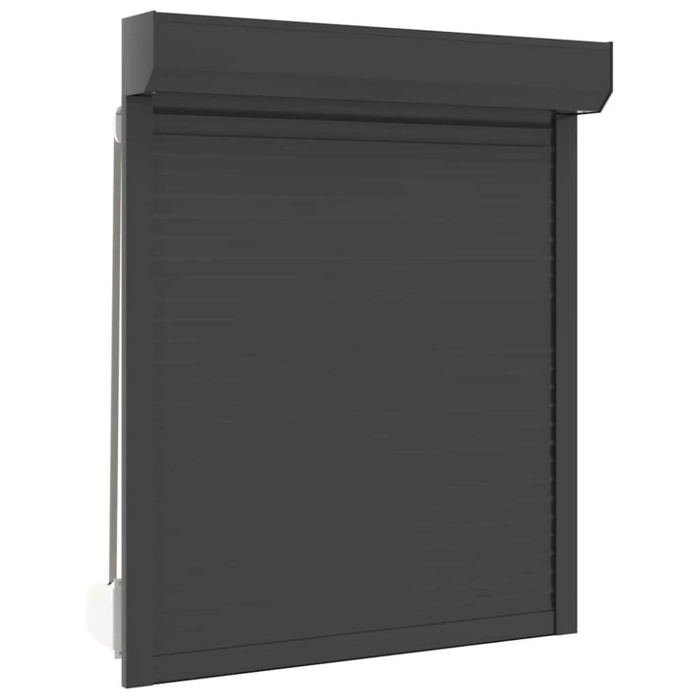 vidaXL Oblon rulant, antracit, 100 x 120 cm, aluminiu