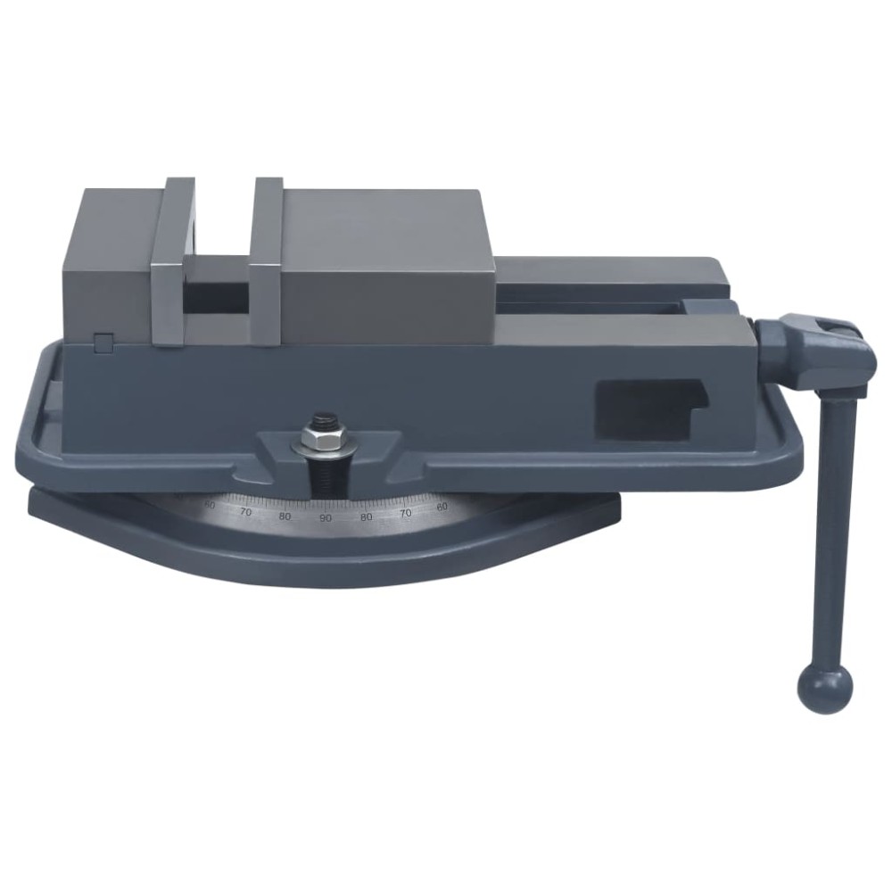 vidaXL Menghină pivotantă, 160 mm, fontă