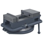 vidaXL Menghină pivotantă, 160 mm, fontă