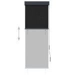 vidaXL Jaluzea tip rulou de exterior, antracit, 60 x 250 cm vidaXL Jaluzea tip rulou de exterior, antracit, 60 x 250 cm