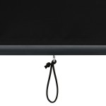 vidaXL Jaluzea tip rulou de exterior, antracit, 140 x 250 cm