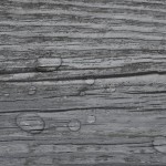 vidaXL Plăci de pardoseală autoadezive, gri lucios, 5,02 m², PVC, 2 mm vidaXL Plăci de pardoseală autoadezive, gri lucios, 5,02 m², PVC, 2 mm