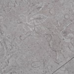 vidaXL Plăci pardoseală autoadezive, gri pământiu, 5,02 m², PVC, 2 mm vidaXL Plăci pardoseală autoadezive, gri pământiu, 5,02 m², PVC, 2 mm
