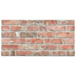vidaXL Panouri de perete 3D, model cărămidă, roșu, 10 buc., EPS