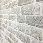 vidaXL Panouri de perete 3D, model cărămidă, gri deschis, 10 buc., EPS