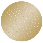 vidaXL Cap de duș rotund tip ploaie, auriu, 25 cm, oțel inoxidabil vidaXL Cap de duș rotund tip ploaie, auriu, 25 cm, oțel inoxidabil
