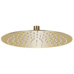 vidaXL Cap de duș rotund tip ploaie, auriu, 25 cm, oțel inoxidabil vidaXL Cap de duș rotund tip ploaie, auriu, 25 cm, oțel inoxidabil