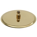 vidaXL Cap de duș rotund tip ploaie, auriu, 25 cm, oțel inoxidabil vidaXL Cap de duș rotund tip ploaie, auriu, 25 cm, oțel inoxidabil