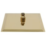 vidaXL Cap de duș tip ploaie pătrat, auriu, 20x20 cm, oțel inoxidabil vidaXL Cap de duș tip ploaie pătrat, auriu, 20x20 cm, oțel inoxidabil